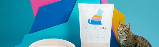 PrettyLitter